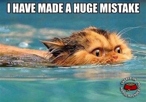 Worst Mistake Meme Funny