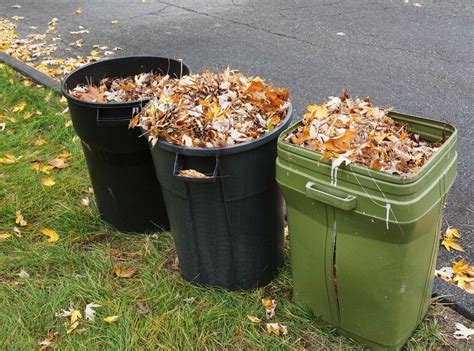 Yard Waste Removal