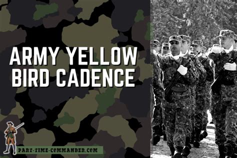 Yellow Bird Cadence Image 1