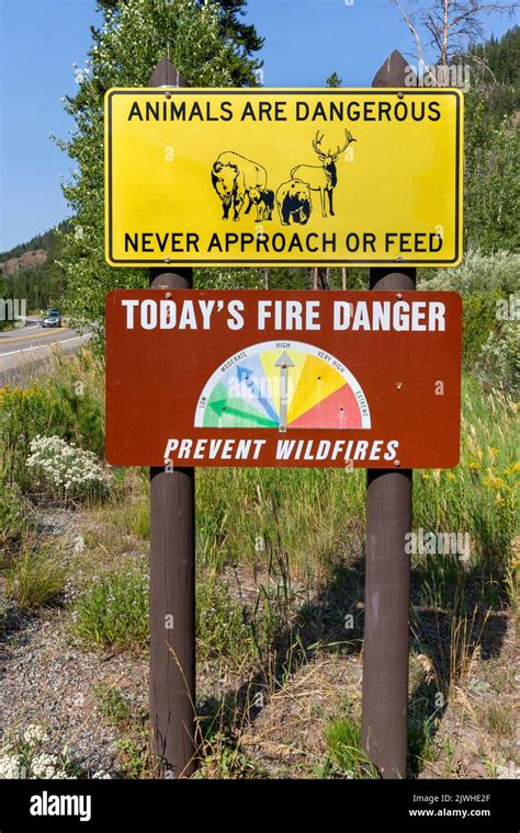 Staying Safe in Yellowstone