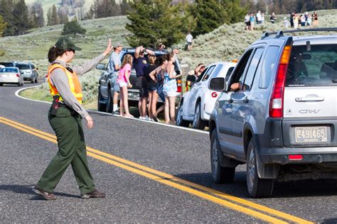 Yellowstone Safety