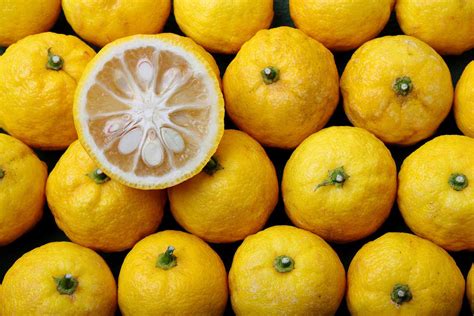 Yuzu Citrus Fruit