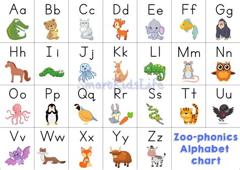 Zoo Phonics Alphabet Image 4